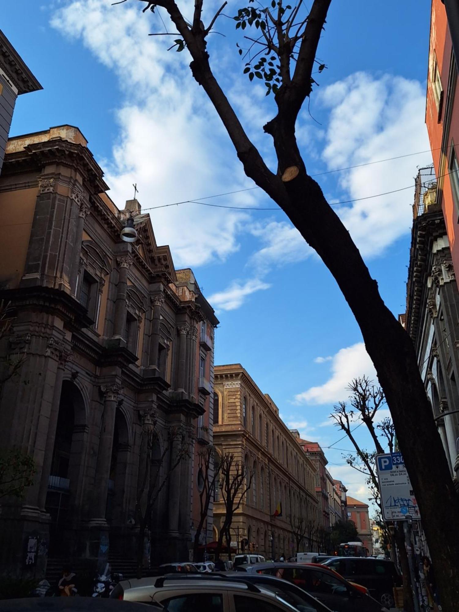 B&B Museum Naples Exterior photo